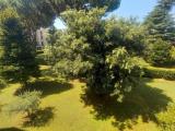 Appartamento, CAMAIORE, 350.000 €, 100,00 mq