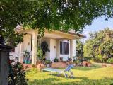 Superfici commerciali, ROCCASTRADA, 320.000 €, 200,00 mq