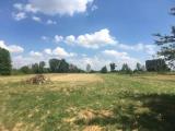 Particella, CASTELBELFORTE, 85.000 €, 2500,00 mq