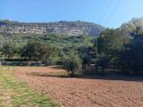 Particella, MONSUMMANO TERME, 45.000 €, 7000,00 mq