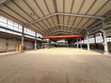 Superfici commerciali, SERAVEZZA, <i>A richiesta</i>, 2180,00 mq