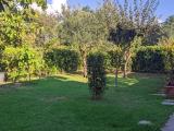 Casa, QUARRATA, 380.000 €, 209,00 mq