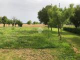 Particella, PIANIGA, 74.000 €, 18000,00 mq