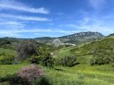 Particella, MARINO, 365.000 €, 660,00 mq