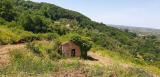 Particella, VIBO VALENTIA, 37.000 €, 63,00 mq
