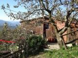 Particella, FIVIZZANO, 45.000 €, 8000,00 mq