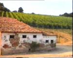 Casa, CESENA, 130.000 €, 240,00 mq