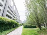 Affitto, Appartamento, MILANO, 1.650 €, 50,00 mq