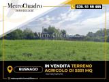 Particella, BUSNAGO, 49.000 €, 5551,00 mq