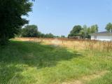 Particella, CASTELFRANCO VENETO, 44.000 €, 7951,00 mq