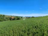 Particella, CASALE MONFERRATO, 35.000 €, 300,00 mq