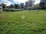 Particella, SPOLETO, 190.000 €, 2000,00 mq