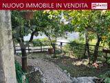 Particella, SERMONETA, 50.000 €, 600,00 mq