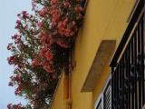 Superfici commerciali, MARSALA, 178.000 €, 140,00 mq