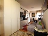 Affitto, Appartamento, CONEGLIANO, 550 €, 50,00 mq