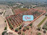 Particella, CAROVIGNO, 85.000 €, 30,00 mq