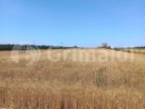 Particella, UGENTO, 17.000 €, 4800,00 mq