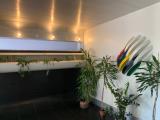 Affitto, Appartamento, TRIESTE, 750 €, 64,00 mq