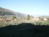 Particella, MONREALE, 55.000 €, 8500,00 mq