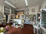 Superfici commerciali, PISA, 150.000 €, 110,00 mq
