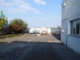 Superfici commerciali, VIGASIO, 300.000 €, 600,00 mq