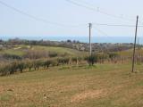 Particella, MASSIGNANO, 45.000 €, 1500,00 mq