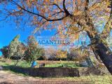 Particella, CORI, 70.000 €, 96,00 mq