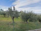 Particella, PESCARA, Colle San Donato, 350.000 €, 5000,00 mq