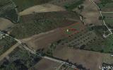 Particella, CUPELLO, 33.000 €, 6050,00 mq