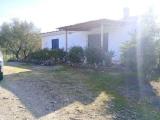 Particella, SAN TEODORO, 280.000 €, 100,00 mq