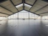 Affitto, Superfici commerciali, MILANO, 13.333 €, 800,00 mq