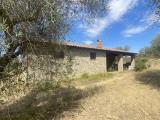 Casa, PANICALE, 1.500.000 €, 800,00 mq