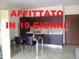 Affitto, Appartamento, FROSINONE, 480 €, 50,00 mq