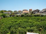 Particella, TAORMINA, 190.000 €, 6300,00 mq