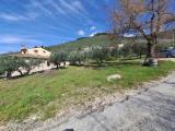 Particella, CAMPELLO SUL CLITUNNO, 48.000 €, 1800,00 mq