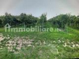 Particella, GAMBELLARA, <i>A richiesta</i>, 16500,00 mq