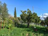 Particella, AVOLA, 70.000 €, 2640,00 mq