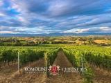 Casa, MONTEPULCIANO, 860.000 €, 440,00 mq