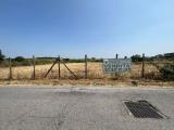 Particella, QUARTO, 75.000 €, 5300,00 mq
