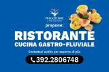 Superfici commerciali, LICENZA, 130.000 €, 260,00 mq
