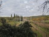 Particella, LIVORNO, 88.000 €, 3100,00 mq