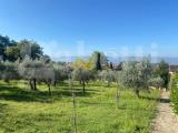 Particella, ASSISI, 78.000 €, 1000,00 mq