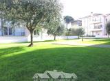 Affitto, Appartamento, ROMA, Cassia, 750 €, 54,00 mq