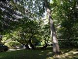 Superfici commerciali, MILANO, 1.150.000 €, 220,00 mq