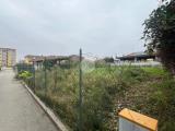 Particella, CARMAGNOLA, 59.000 €, 500,00 mq