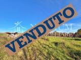 Particella, ANGUILLARA SABAZIA, 31.000 €, 4460,00 mq