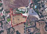 Particella, SIRACUSA, 170.000 €, 10000,00 mq