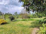 Particella, ARCOLA, 48.000 €, 2500,00 mq