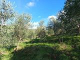 Particella, CALCI, 20.000 €, 6500,00 mq