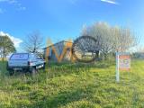 Particella, PETACCIATO, 45.000 €, 5619,00 mq